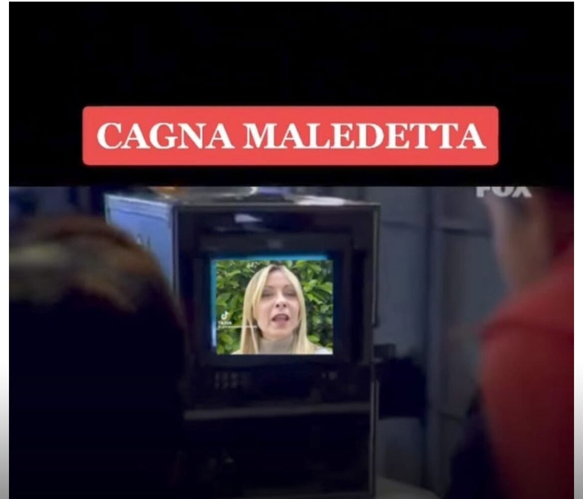 meloni cagna maledetta